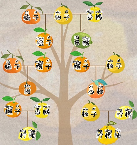 常吃柑橘类水果,能降低抑郁风险?