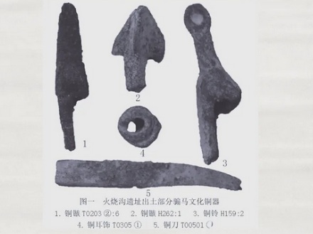 为什么景区的马都需要被阉割?