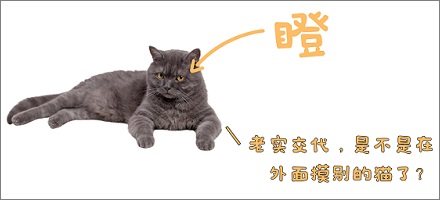 猫闻到你有别的猫的味道会吃醋吗?