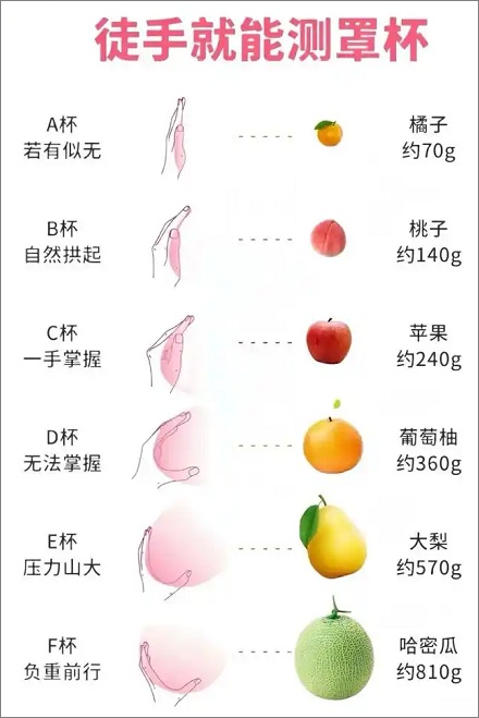 欧洲哪一个国家女性的胸部最大?