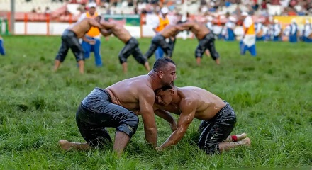 摔跤选手上场前为什么要给全身抹油?