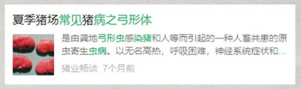 为什么养猪场不能养猫?