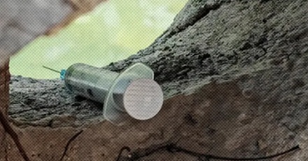 在野外看到注射器,为什么最好马上报警?