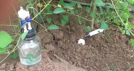 在野外看到注射器,为什么最好马上报警?