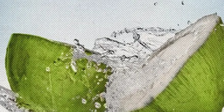 为什么必要时,椰子水能代替血浆?