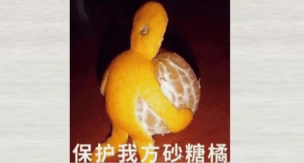为什么有些砂糖橘上会有个洞?