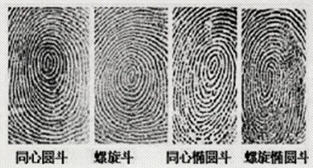 古代没有指纹库,为何会用指纹破案?