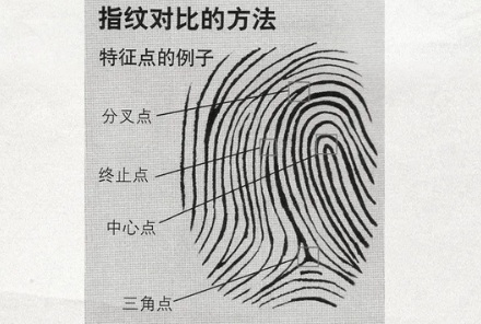 古代没有指纹库,为何会用指纹破案?