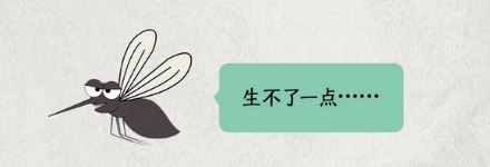 为什么冰岛没有蚊子？