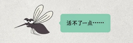 为什么冰岛没有蚊子？