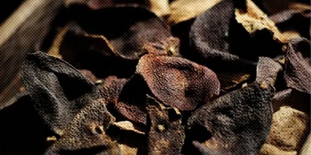 陈皮不就是橘子皮吗？为什么广东会攒陈皮当嫁妆？