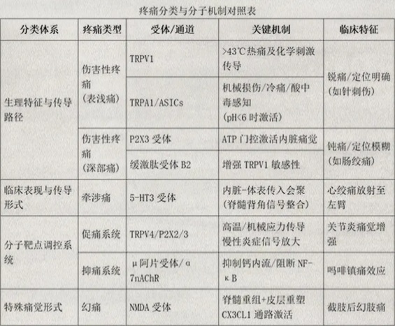 既然辣是痛觉,那吃完辣椒吃止痛药还会痛吗?