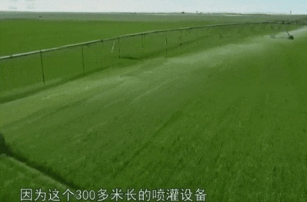 内蒙古沙地上密密麻麻的圆圈是干什么用的？