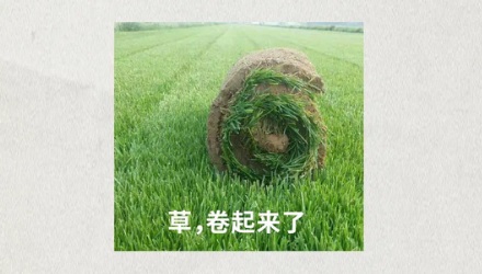 内蒙古沙地上密密麻麻的圆圈是干什么用的？