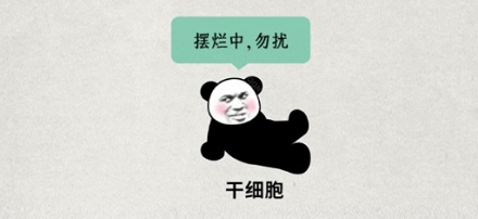 为什么其他灵长类动物三天长好的伤口,人类却需要一周?