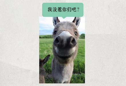都是动物皮，为啥猪皮上桌成为肉冻，而驴皮却能做成昂贵的阿胶？