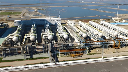 沙特土豪炫富新标准:「你家有几棵树?」