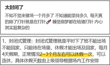 为什么养猪场和养鸡场都爱招夫妻饲养员?