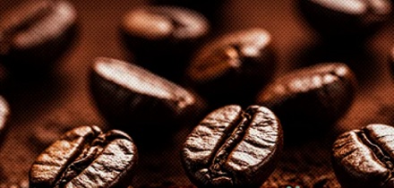 茶树、咖啡树和可可树明明没关系，为什么都进化出了咖啡因？