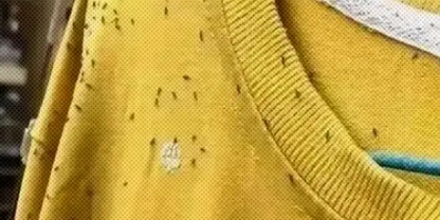 为什么说最近要少穿黄、绿、银灰色的衣服出门？