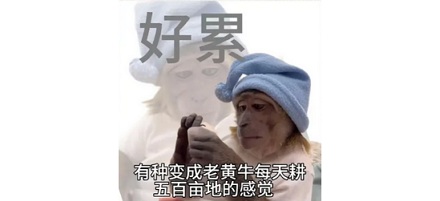 古代典当行的柜台为什么都特别高？