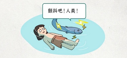 在电被发明之前，电鳗叫什么？