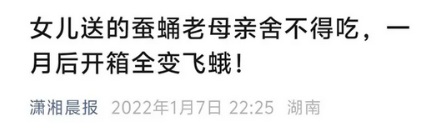 为什么在东北，千万别把蚕蛹放家里超过 15 天？