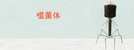 寄生虫会被寄生虫寄生吗？