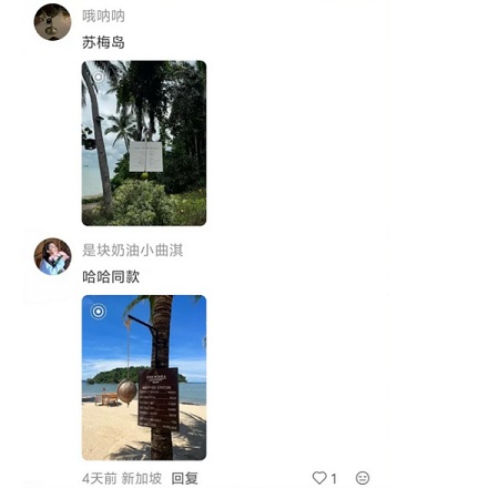 酒店为什么要在草坪上挂个椰子？