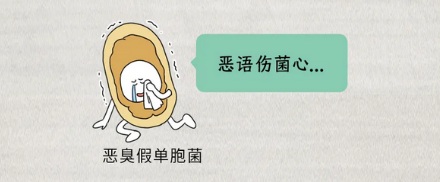 为啥有细菌叫「懒惰狡诈菌」？有多懒惰狡诈？