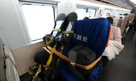 为什么 12306 购票页面上，有些列车后面跟个「雪」字？