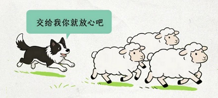 为什么牧羊犬天生就能指挥羊群进退？