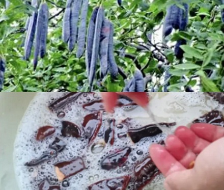 为什么每次洗完生菜都有很多泡沫，是农药残留吗？