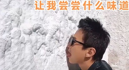 为什么有游客要舔布达拉宫的墙?