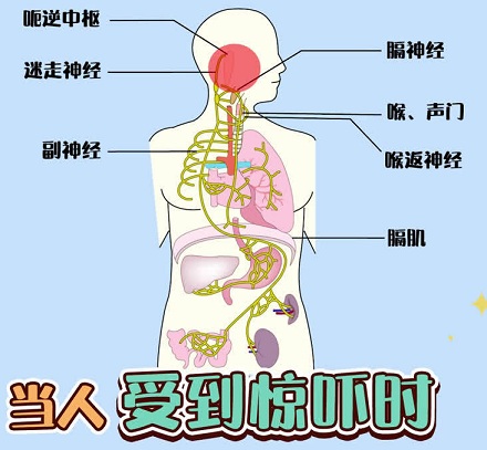 为什么打嗝时被吓一跳就会好?