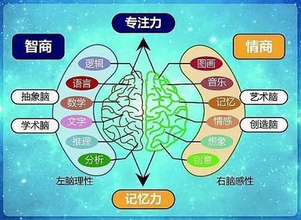 大脑也分「四季」?