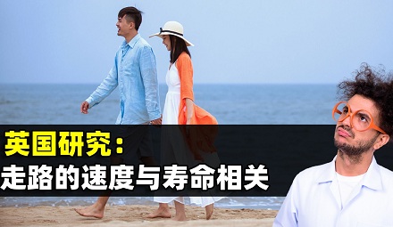 走路快与走路慢的人,谁会更长寿?