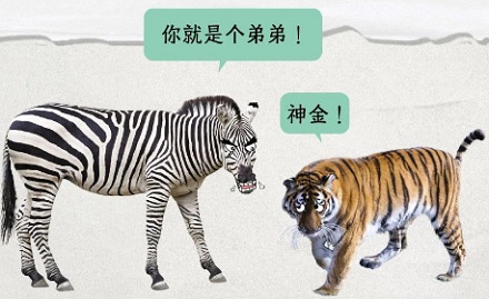 斑马也是马,但为啥没人骑斑马?