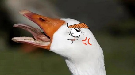 为什么巴西监狱要用鹅来看犯人?