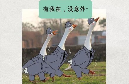 为什么巴西监狱要用鹅来看犯人?
