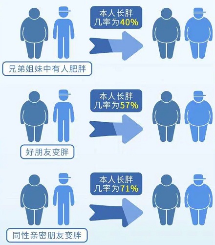 肥胖真的会「传染」?