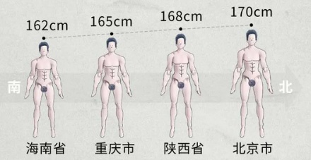 为什么精子库对捐献者的身高要求是165?