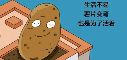 薯片为啥也都是弯的?