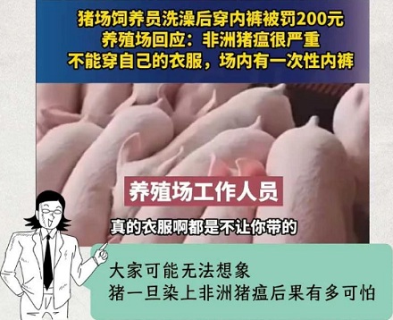 为什么在养猪场不能穿自己的内裤?