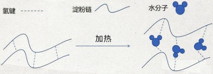 为啥饼干放久了会变软,面包却会变硬呢?