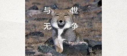 为啥航天员上天要带手枪、小刀和红墨水?