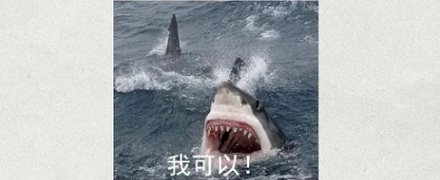坐轮船发生事故时,为什么宁愿等到船沉海底,也不能跳海求生?