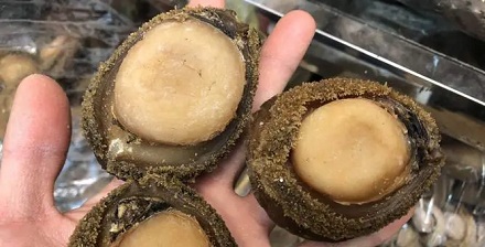 为什么越喜欢吃鲍鱼,非洲的毒品就越泛滥?