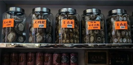 为什么越喜欢吃鲍鱼,非洲的毒品就越泛滥?