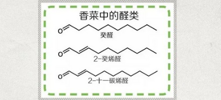 为什么香菜可以用来除尸臭？